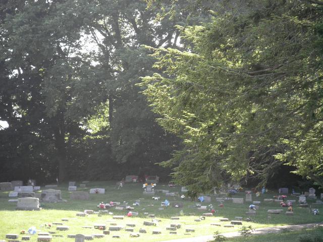 Children's Cemetery aka Baby land